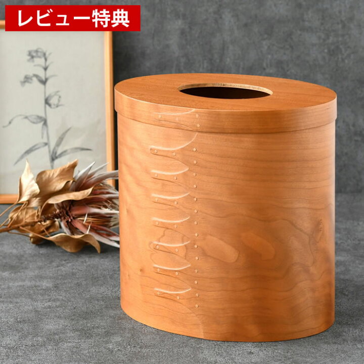 楽天市場】【11月5日はほぼ全品P10倍】ゴミ箱 おしゃれ アクシス AXCIS 