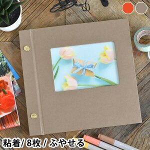 Ao  Cgt[Ao STCY NEW tHgAo ₹ RpNg R \ \t[ n L CAEg ʐ^[ rX S ܂ fR[V Vv 