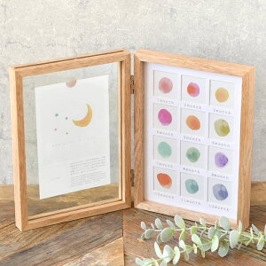 y111ő|Cg10{ՁztHgt[ 12 xr[tHgt[ NLD03 ʐ^ v[g  qǂ ؐ j̎q ̎q Mtg u^ tHg ʐ^ 12 Ԃ Ce