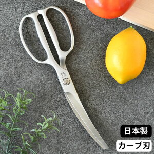 y121̓|Cgő10{ՁzLb`oT~ L Đ􂦂 I[XeX Lb`oT~ J[u nT~ nT~  MUn H@Ή sU ܂Ȕ炸 { p