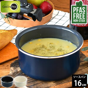 y125̓|Cgő10{Ձz\[Xp16cm O[p NbNVFt \[Xp16cm Ў ih O[p \[Xp mXeBbN GREEN PAN S S PFAS t[ pfas Vv