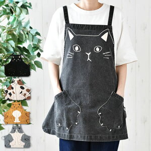 y115ő|Cg10{ՁzGv  L obNNX V[gGv Gv 킢 100 ˂ L̎ Z obNNX l q