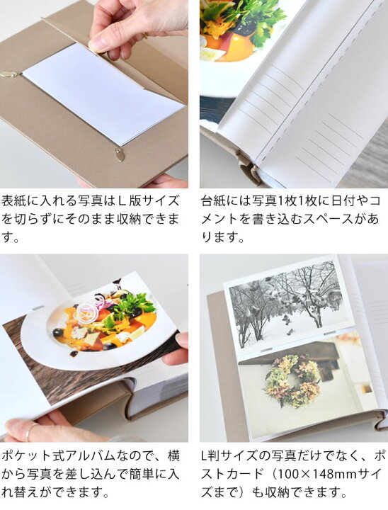 楽天市場】【4月15日はポイント最大10倍祭！】＼楽天1位／ アルバム 