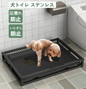 o pgC XeX|  ^ ybggC 􂦂 o^pgC 54x37x9CM h~  |ȒP g[jOpbhz_[ oX[p 