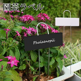 園芸用ラベル 名入れ 植物ラベル 鉄製 金属製 T型 防錆 プランツラベル ローズラベル 園芸ネームラベル プラントマーカー プランツタグ バラ 薔薇 ガーデニング 植木鉢 花壇 プラントタグ 名入れ ガーデニング用品 看板 ミニ黒板