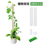 植物支柱 モスポール 支柱 2本セット 連結可能 ポトスタワー 積み重ね可能 花支え 観葉植物 つる植物 着…