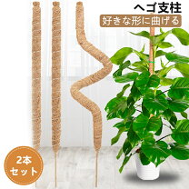楽天市場】ヘゴ板（ガーデニング・農業｜花・ガーデン・DIY）の通販