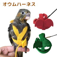 鳥用ハーネス オウムハーネス 鳥用 ハーネス リード 牽引ロープ 調整可能なペット 可愛い 天使の羽 トレ…