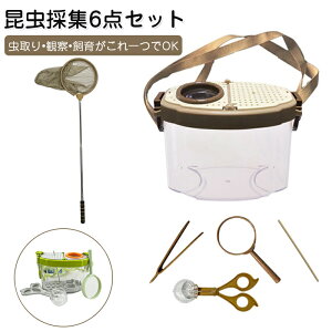 ̏WZbg Rώ@ ώ@Lbg 6_Zbg mߋ wKߋ  g勾t   lbgo^tC g{ Lk c[ P[X P[X ώ@P