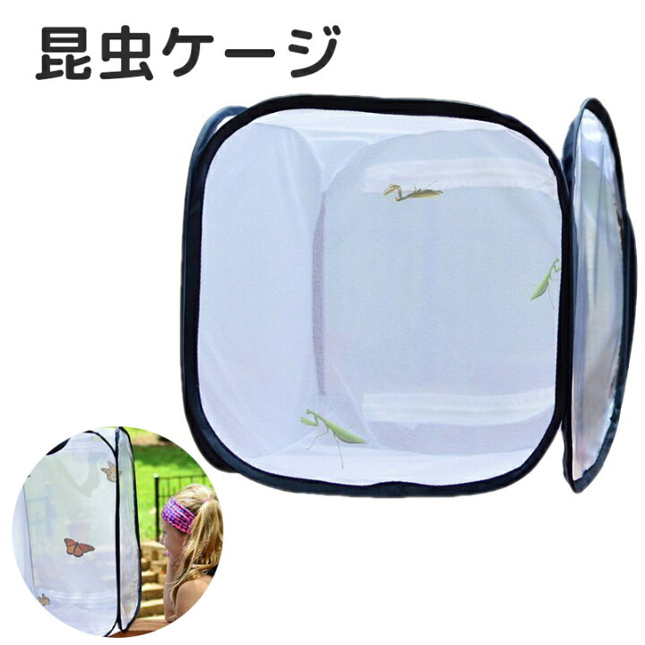 楽天市場】昆虫飼育箱 昆虫ケース 蝶 昆虫ケージ 通気性 ネット 繁殖 