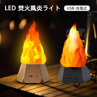 LEDライト 焚火風 炎エフェクト キャンプライト ガーデンライト クリスマスイルミネーション 充電式 省エ…