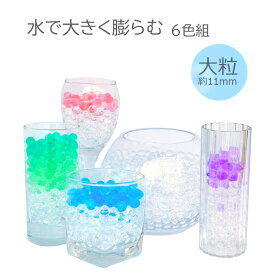 1000円ポッキリ ぷよぷよジェリーボール 大粒 全6色 20gx6袋組 プロ仕様 観葉植物用 ビーズ 11mm ポリマー インテリア フラワーアレンジ 土 水耕栽培 透明 ぷよぷよボール 水で膨れる ゼリーボール 園芸 水耕栽培 虫除け 芳香剤 1000円で6色！ 【送料無料】