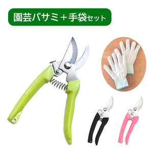 |oT~ ܕt oT~ 88g Iׂ3F Ԃ͂ Ԑ؂͂ K[fjO | nT~ y }؂ XeX ͂ ^ A   ƒ؉ 1000~|bL 