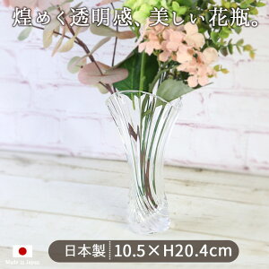 yBFő1000~OFFN[|zz@11/27܂Łzt[x[X tS[ a10.5cm Ԋ ԕr t[x[X KX  NA ԑ ^  ȃXy[X AWg  CeA 