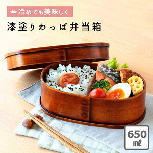 弁当 箱 男性の人気商品 通販 価格比較 価格 Com