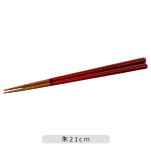 Zp h ʎ  1V 2FWJ | h 邵 VR {  21cm 23cm     ₷ ig ĂȂ qp Jg[ Vv