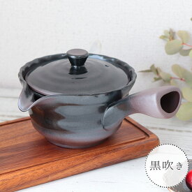 ワン型 珈琲 急須 カップ網 2色展開 | 万古焼 ポット 茶かご付き せっ器 コーヒー 300ml 日本製 珈琲急須 お手入れ簡単 フィルター不要 ドリップ ポット アメ 飴色 黒吹き ブラック おうちカフェ おしゃれ モダン