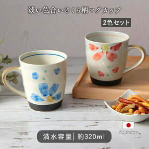 Z y  }O 2FZbg |  a8.5cm }OJbv 320ml 180g  eB[^C ACX zbg JtF 킢 IV  bh  u[  Mtg