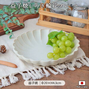 ̂ ։ M Ȃ a20cm v[g vq {  CfBbV ق  k 킩ܓ|   i` Mtg 蕨  킢
