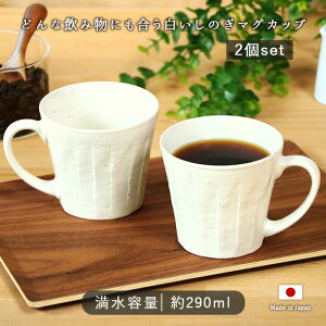 y2setzZ ̂ }OJbv a9.2cm 8.3cm { Z   Zbg 2g  zCg Vv ̂ 290ml R[q[ g { dqWΉ v[g 蕨