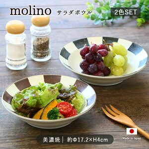 molino T_{E 2FZbg | {E  攫  a17.2cm { Z  y u[ uE   dqWΉ H@Ή aH mH JtF  Vv 킢