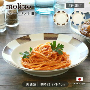 molino カレー皿 パスタ皿 2色セット | プレート 深皿 取皿 丸皿 径21.7cm 日本製 美濃焼 磁器 軽量 ブルー ブラウン 紺 茶 電子レンジ対応 食洗機対応 和食器 洋食器 カフェ おしゃれ シンプル か