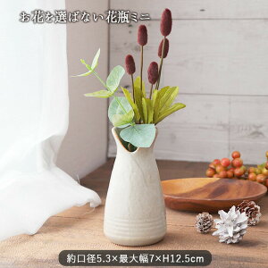y9/4 Jn4H ő2000~OFFz[50OFF] ԂI΂Ȃ ԕr ~j | zCg rO  a7×㕔a5.3×12.5cm  t[x[X 蕨 Mtg  CeA Vv d 