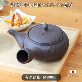 常滑焼 平丸 線段 セラメッシュ 急須　黒 | ティーポット ポット 茶こし一体型 茶こし付 洗いやすい 持ちやすい 使いやすい 380ml 日本製 陶製 陶器 陶製茶こし 茶こし 茶漉し 電子レンジ対応 モダン シンプル おしゃれ