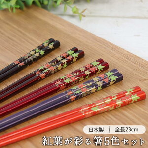 y5FsetzRہEH@Ή݂h S22.5cm  ͂ h蔢 { 5F 5Vg ؐ ݂ a a R      CIsA H@Ή Jg[ a ig qp 