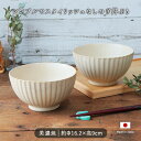 【2個set】美濃焼 しのぎ 丼ぶり 日本製 径16cm 1000ml どんぶり しのぎ しのぎ模様 小丼 中丼 丼 セット 磁器 ラーメン そば うどん 和 和風 電子レンジ対応 食洗機対応 シンプル カフェ風 おしゃれ