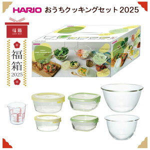  HARIO  NbLO Zbg 2025 HOCK-25-YG HARIO  ϔM KX { vʃJbv ۑe ی^ p^ KX{E dqWΉ H@Ή ʌ