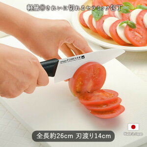 Z~bN  140mmZ~bN  iCt Z~bN 26cm nn14cm ق傤 Lb`pi { s؂ꖡ KтȂ y 75g O