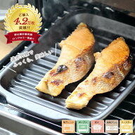 グリルプレート グリルパン 直火対応 魚焼き グリル 日本製 17×24cm 万古焼 耐熱 手付 調理トレー 耐熱…