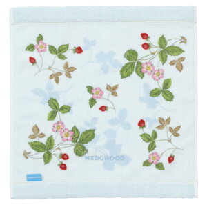 nishikawa y  z  nh^I 34X35cm 􂦂 100 EFbWEbh Ch Xgx[ 炩 { u[ TT33905601