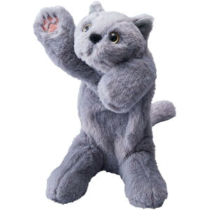 yBLACK FRIDAYb|Cgő47{zLOW(Kingjim) y|[`yP[X |[Y[y|[` PZ2020 lR