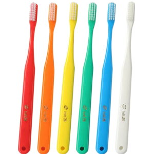 y12/5X[p[SALE50̓|CgAbvzI[PA LbvȂ ^tg24 uV × 25{ S A\[g