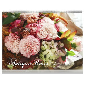 yyVC[OXӍՁbPő41{z2026NJ_[ AeB[N[Y