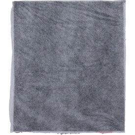 【2/16★超ポイントバック祭】アイリスオーヤマ 空気清浄機 HXF-C25-W/RHF-253-TM/RHF-253-WM 対応 交換用 消臭用 フィルター 10畳 HXF-A25TF ホワイト