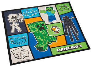 �X�P�[�^�[(Skater) �����`�N���X �q���p ���ٓ� 43×43cm ���{�� �}�C���N���t�g 25 Minecraft �j�̎q KB4-A