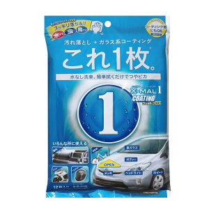 �y���������}���\����P�ő�49�{�z�v���X�^�b�t(Prostaff) ��ԗp�i �K���X�n�{�f�B�[�R�[�e�B���O�� �G�b�N�X�}�[������ �R�[�e�B���O �E�F�b�g�N���X 12���� S135