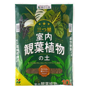 yyVC[OXӍՁbPő41{zԂ OcϗtA̓y 10L