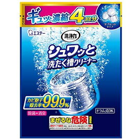 【2/16★超ポイントバック祭】洗浄力 ネット限定 シュワッと 洗たく槽クリーナー タブレット (個装タイプ 4回分) エコパッケージ 除菌 消臭 洗濯 洗濯槽 クリーナー