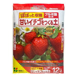 yBLACK FRIDAY_|Cgő47{^zԂ ÂC`Sy t{_z 12L