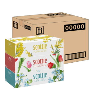 yBLACK FRIDAY_|Cgő47{^zyP[X̔z XRbeB t [{bNX eBV[ 500(250g) 3 ×18