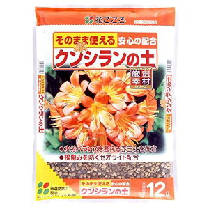 y10/27 9:59b}\bX|CgAbvzԂ NV̓y 12l