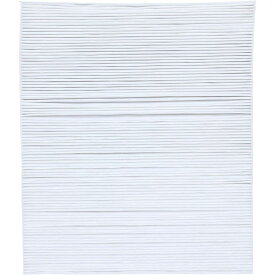 【2/16★超ポイントバック祭】※アイリスオーヤマ 加湿空気清浄機HXF-A25 交換用 集塵用 HEPA フィルター 10畳 HXF-A25HF ホワイト