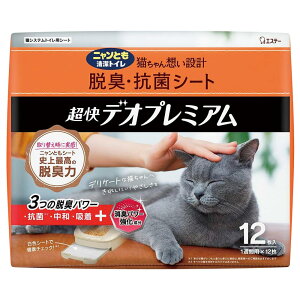 y12/4 20`byVX[p[SALEbPő47{zjƂgC L ELERۃV[g fIv~A 12