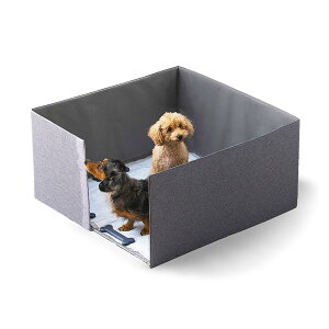 ACXI[} ybggCT[N O[ Ch