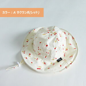 _ő15%OFFN[|^q Xq nbg LbY Rt {R 悯  O΍ AEghA Lv ΍L Rbg   qǂ Ԃ j̎q ̎q jZbNX 킢