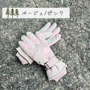 _ő15%OFFN[|^XL[ O[u LbY Xm[O[u WjA Xm[  V Xm[ XL[ Xm[{[h 5{w Xm{[ 킢  ̎q j̎q jZbNX 